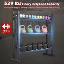 3-Tier Dumbbell Rack with 529 LB Capacity by DirectDeals