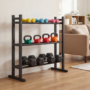 3-Tier Dumbbell Rack with 529 LB Capacity by LJGDeals