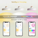 RGBCW MR16 5W Smart WIFI LED Light Bulb 4 Pack, Energy Saving RGBCW Color Changing 12V Outdoor LED Bulb Compatible with Alexa, Google Assistant, and Siri by Kings Outdoor Lighting