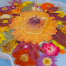 Fall Floral Resin Serving Tray Kit