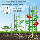 3 Pack 60 inch Adjustable Tall Plant Support Trellis for Climbing Plants by LJGDeals