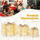 3 Pack Christmas Lighted Gift Box with 50 LED Lights and Detachable Bows by LJGDeals