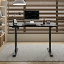 Polaris Electric Standing Desk - 55"×24"