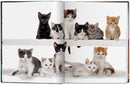 Walter Chandoha. Cats. Photographs 1942–2018 (German, French, English)