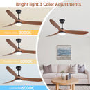 Smart Ceiling Fan With Lights, 3 Blades, Reversible Quiet DC Motor For Indoor by Unique Piece Furniture
