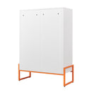 Modern Metal Shoe Cabinet With DoublebSided Doors And Adjustable Partitions