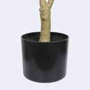 5' Artificial Olive Tree by HouseOfZazla
