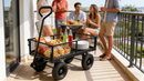 Solid Wheels Garden Cart Wagon by HouseOfZazla