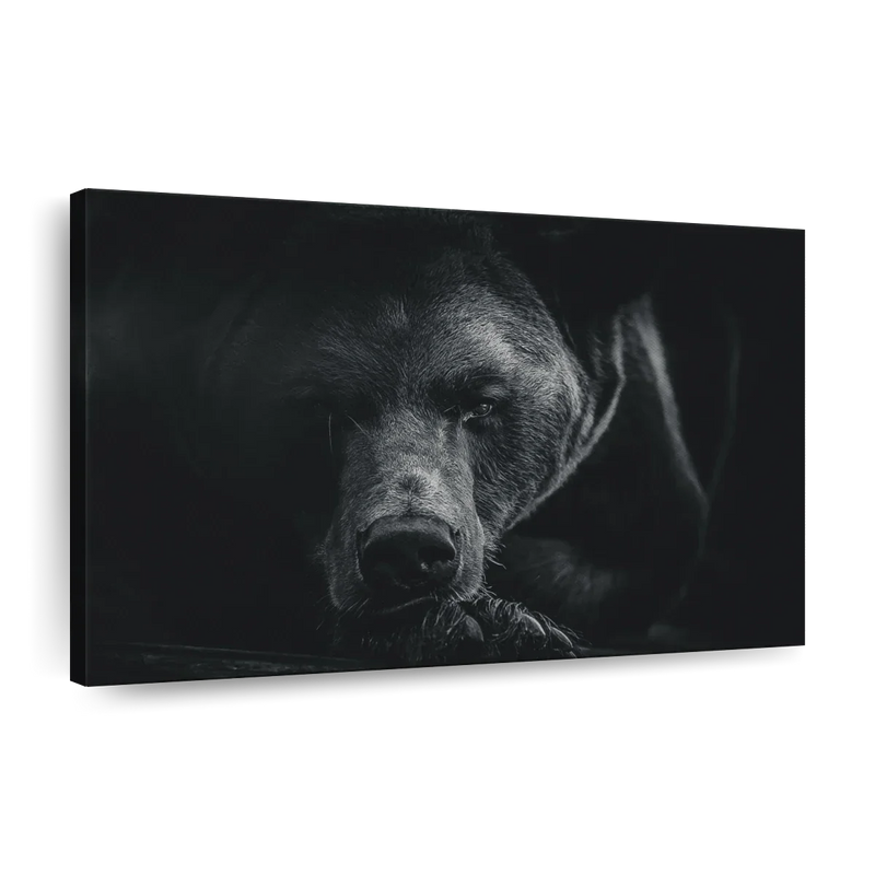 Monochrome Brown Bear Wall Art