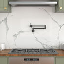 Modern Design Pot Filler Faucet Wall Mount Kitchen Sink, Folding Stretchable