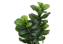 41" Tall, Artificial Plant, Fiddle Tree, Indoor, Faux, Fake, Floor, Greenery, Potted, Real Touch, Decorative - Green / Black by Unique Piece Furniture