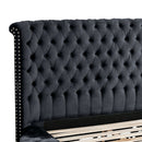 Hazel - Queen Size Tufted Storage Bed & Bluetooth Speakers, USB Port - Black by HouseOfZazla