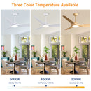52 Inch ABS Blades Ceiling Fan with LED Light Kit by HouseOfZazla