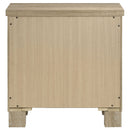 Sansome - 2 Drawer Nightstand Bedside Table - Oak by HouseOfZazla