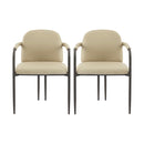 Modern Dining Chair (Set of 2) With Iron Frame - Espresso / Khaki