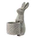 Meridian Trade Co Decorative Cement Rabbit Planter by HouseOfZazla