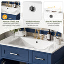 Modern Bathroom Vanity With Sink, Storage Cabinet, Soft Close Doors, Deep & Standard Drawers