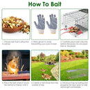 2PCS Folding Humane Animal Trap Cages for Cats, Rabbits & Squirrels