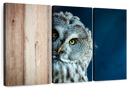 Peeking Owl Wall Art