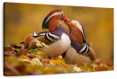 Loving Mandarin Ducks Wall Art