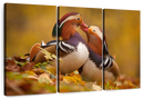 Loving Mandarin Ducks Wall Art