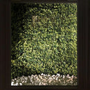 Golden Boxwood Greenery Panel