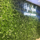 Cannabis Greenery Panel