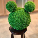 11" Medium Cypress Topiary Ball