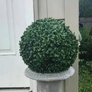 11" Medium Boxwood Topiary Ball