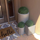 11" Medium Boxwood Topiary Ball