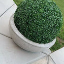 21" XXL Boxwood Topiary Ball