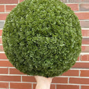 19" XL Cypress Topiary Ball