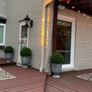 15" Large Cypress Topiary Ball