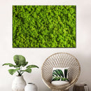 Green Reindeer Moss Wall Art