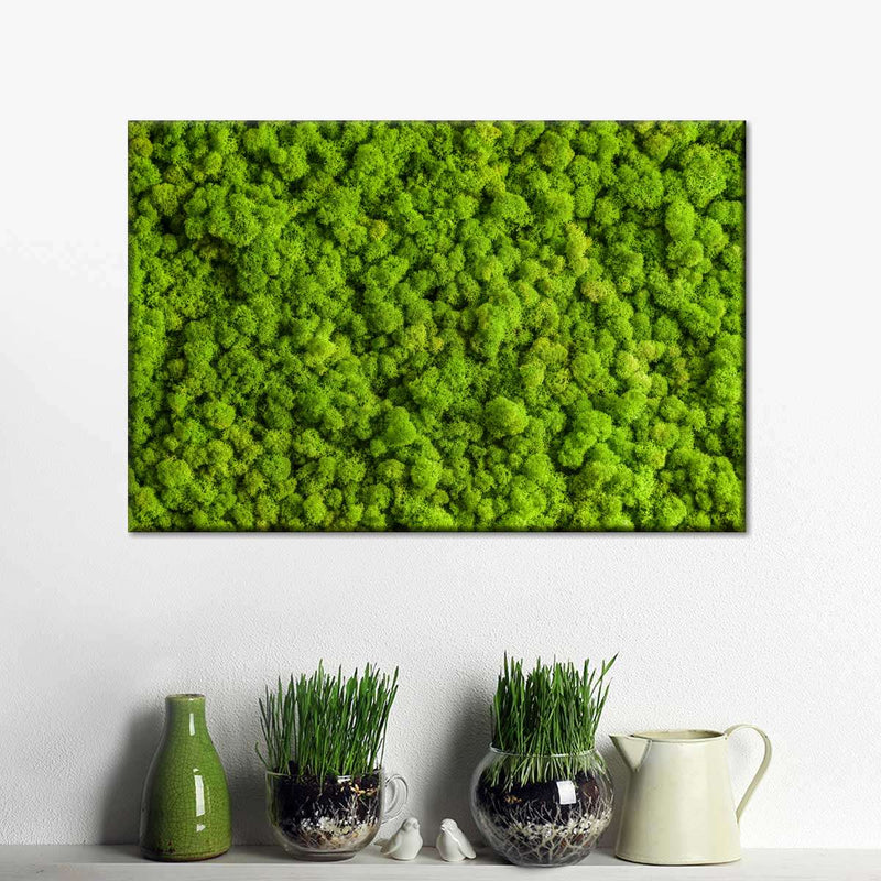 Green Reindeer Moss Wall Art