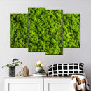 Green Reindeer Moss Wall Art