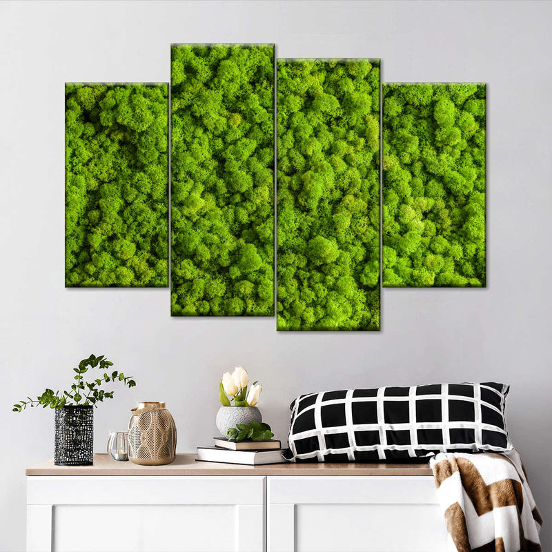 Green Reindeer Moss Wall Art