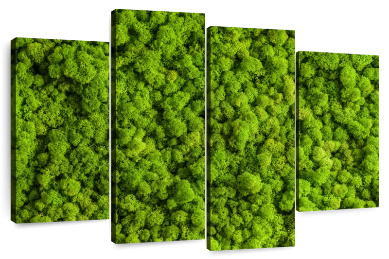 Green Reindeer Moss Wall Art