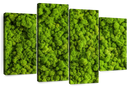 Green Reindeer Moss Wall Art