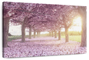 Cherry Blossom Morning Wall Art