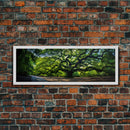 Photographic Panoramic of the Angel Oak in Charleston SC, Sunset Photography, National Park Art, Framed Canvas Print, Landscape Photography