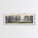 Bialowieza Forest Travel Poster Print, Framed Canvas Wall Art, Metal Wall Art, COUNTRY art, Gift For Him, Travel Wall Art, Travel Lover Gift