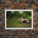 Cute Sleepy Fox Art, Animal Prints, Nature Art, Framed Canvas Print, Cute animal wall art, above sofa art