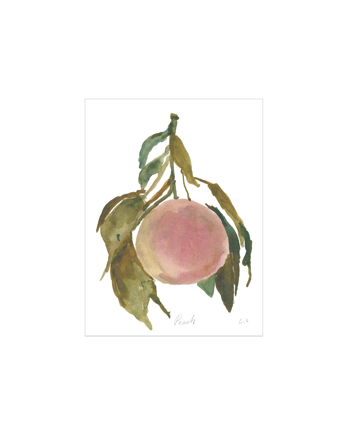Peach, photo 6 of 27