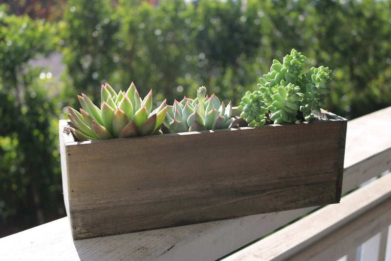 4" Succulent Planter Box