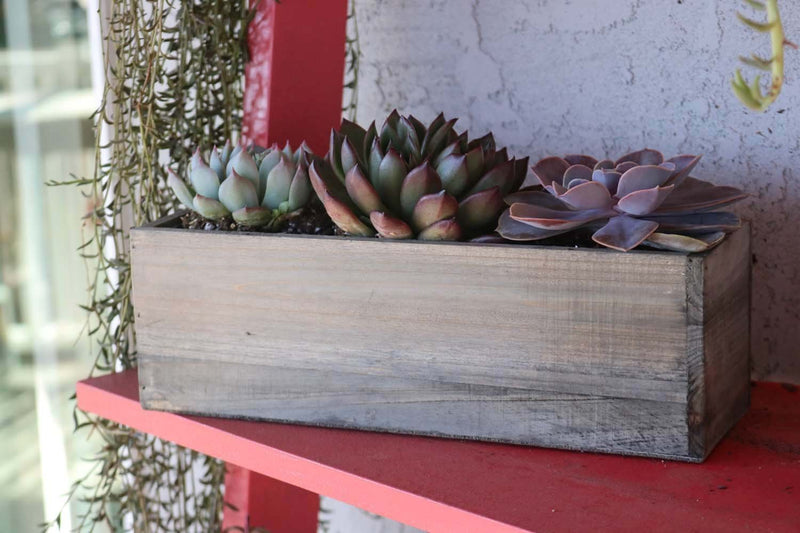 4" Succulent Planter Box