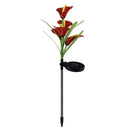 4 Pack Solar Common Calla Lamp Four Color LED