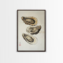 Wabi Sabi Oyster Pearl Watercolor Painting Print, Coastal Art, Gift For Her Or Him, Japanese style Artwork, Oyster Shell Painting, Oyster Art