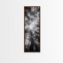 Forest Canopy, Nature Perspective, Tranquil Trees, Black and White, Framed Canvas Print, Cabin Wall Art, Scandinavian Decor, Minimalist Style