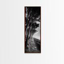 Windy Forest Trail, Dark Coastal Trees, Atmospheric Nature, Framed Canvas Print, Fall Living Room Wall Art, Moody Landscape Aesthetic